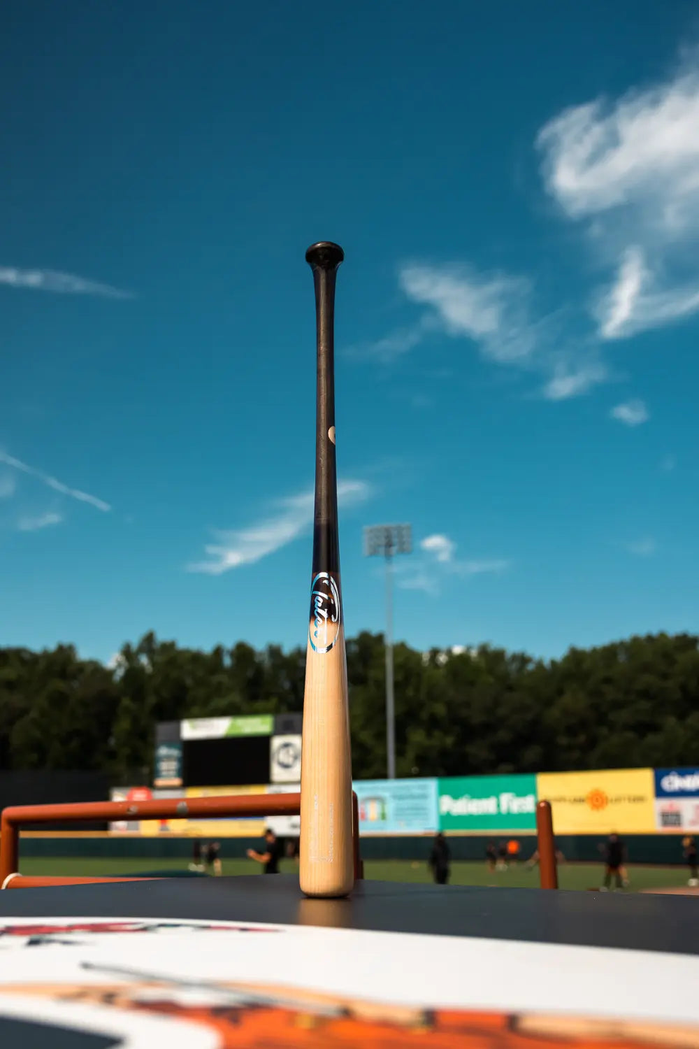 Tater Baseball - Équipement de baseball professionnel, Tater-X4 PRO (manche en charbon de bois, fût en goudron de pin)