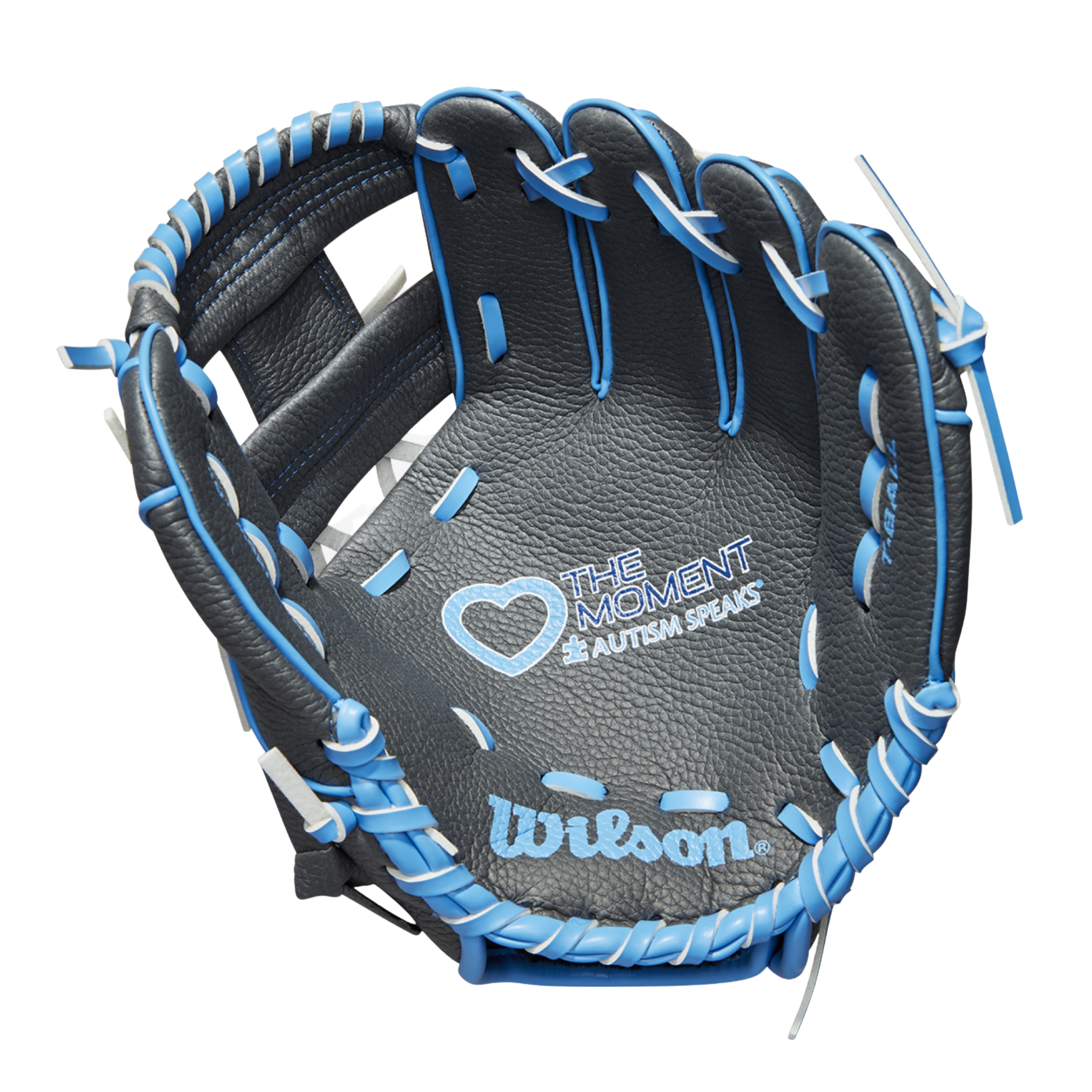 Wilson, Wilson A200 Autism Speaks Baseball Love The Moment 10" WTA02RB19AS